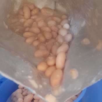 Yayla Bakliyat Pişmeyen Bakliyat Ve Diğer Sorunlar