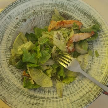 Tavuk Dünyası Sezar Salata Tabağı