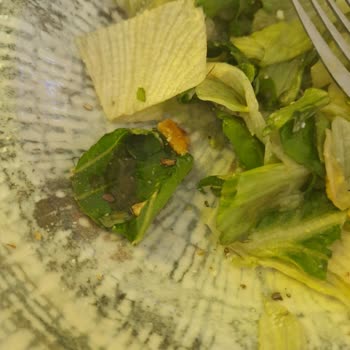 Tavuk Dünyası Sezar Salata Tabağı