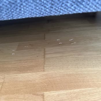 Enza Home Vasatlığı, Hem Ürün Hem Hizmet 10 Da 2.