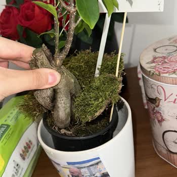 Lieferproblem und minderwertige Produkte von ÇiçekSepeti