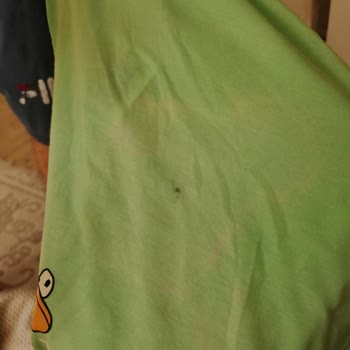 Kıyafete Zarar Veren Kosla