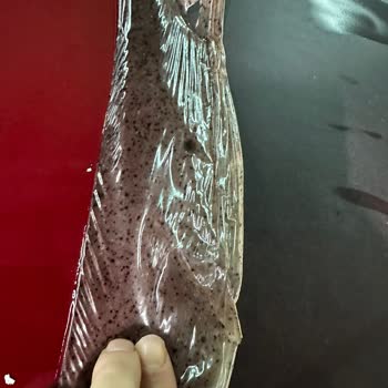 Opel Servis Sorunu Müşteri Memnuniyetsizliği