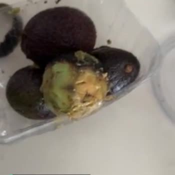 Migros Sanal Market Mağduru