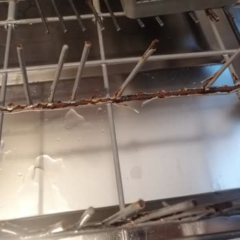 Arçelik Bulaşık Makinemin Tabak Koyma Yerleri Paslandı