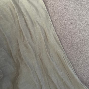 Imannoor Salında Tüylenme Ve İp Çekilmesi