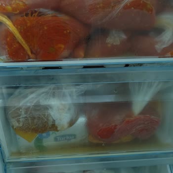 Bosch Marka Derin Dondurucu Arızası