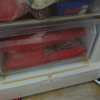 Bosch Marka Derin Dondurucu Arızası