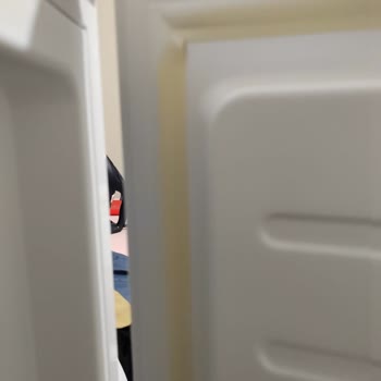 Bosch Marka Derin Dondurucu Arızası