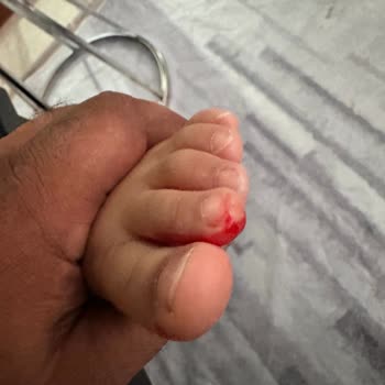 Çevre, Şehircilik Ve İklim Değişikliği Bakanlığı TOKİ Evleri Ve Sorumsuz Yetkililer