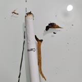 JTI Sigaradan Odun Çıktı