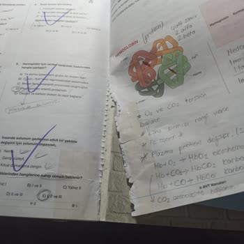 Trendyol'dan Aldığım Biyoloji Video Ders Kitapları Parçalanıyor