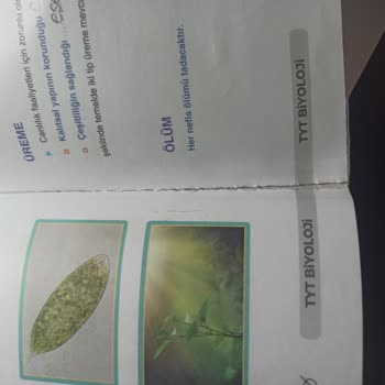 Trendyol'dan Aldığım Biyoloji Video Ders Kitapları Parçalanıyor