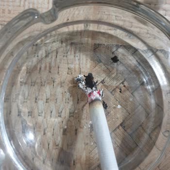 Philip Morris Tütün Kalite Sorunu