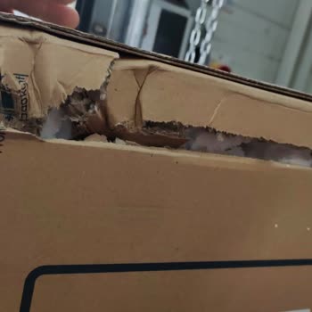 Borusan Lojistik Kötü Müşteri Deneyimi