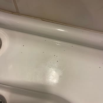 Costa 3s Beach Bodrum Kötü Müşteri Deneyimi