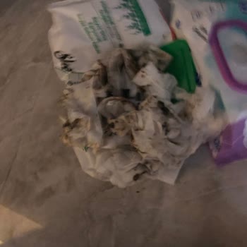 Vestel Çamaşır Makinesi Küflendi Kötü Kokuyor Be Hastalık Yayıyor...