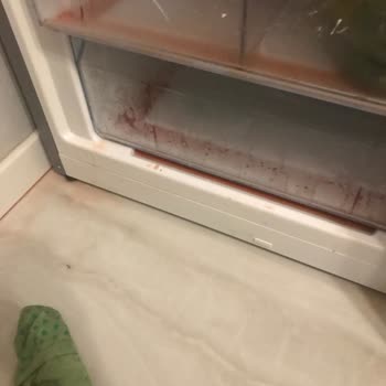 Bosch Marka Buzdolabı Çözülemeyen İki Kez Tekrarlayan Aynı Sorun