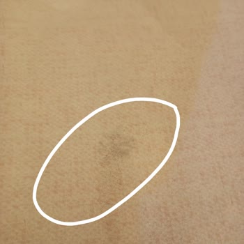 Doğal Halı Yıkamanın Ayıbı