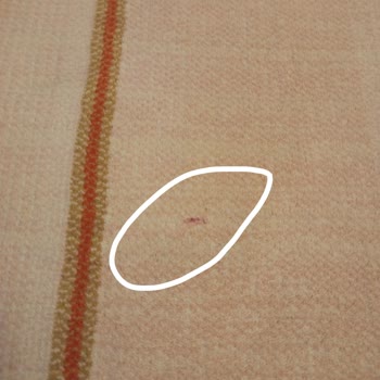 Doğal Halı Yıkamanın Ayıbı