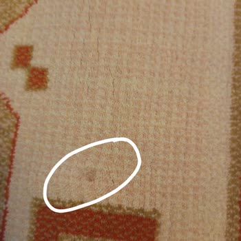 Doğal Halı Yıkamanın Ayıbı