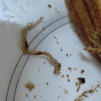 BİM Ekmek İçinden Çıkan Bir Cisim