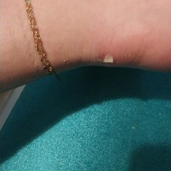 ShoeButik Müşteri Memnuniyeti Adına Hizmet 0 Ve Yetersiz