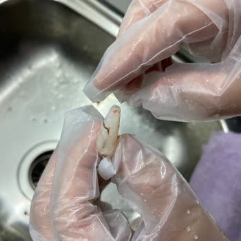 Pınar Et ve Süt Bir Markanın Dondurulmuş Karidesinin Tam Olarak Temizlenmemiş Olması