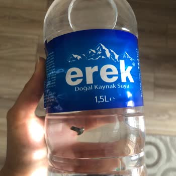 Erek Sudan Vida Çıktı