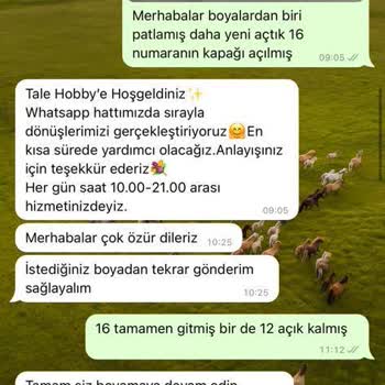Tale Hobby Boya Kodu Hatası