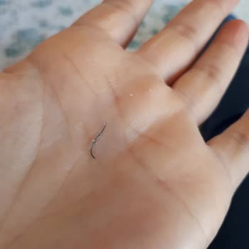 Ekleristan Ek İn İçinden Tel Çıktı