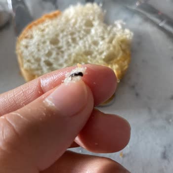 BİM Ekmekten Böcek Çıktı
