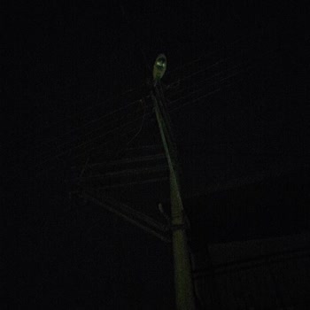 Gediz Elektrik Perakende Sokak Lambalarının Arızası Nedeniyle İlgisizlik