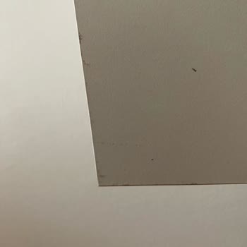 Gündoğdu Mobilya Yeni Ürün Problemleri