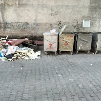 Bayraklı Belediyesi Çevre Temizliğine Duyarlılık İstiyorum.