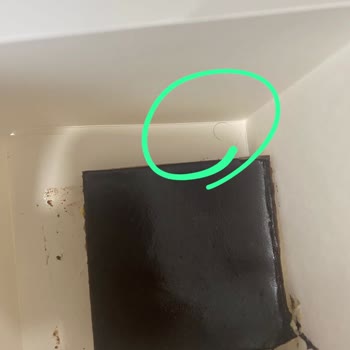 Starbucks Kıl Ve Yarım Gönderilen Kahve