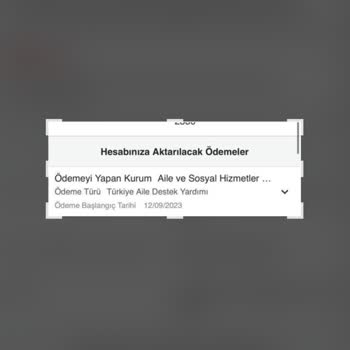 Aile ve Sosyal Hizmetler Bakanlığı Para Ödemesi Yatmadı