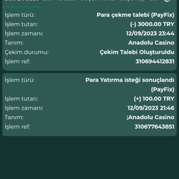 Anadolu Casino Çekim İşlemi Yaptım Hesaba Para Gelmedi
