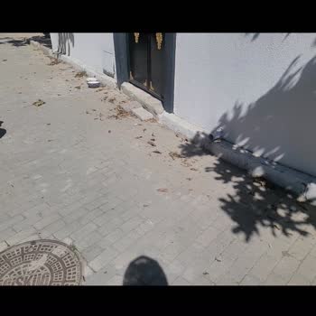 Çatalca Belediyesi Sokak Ve Çevre Temizliği Sorunu