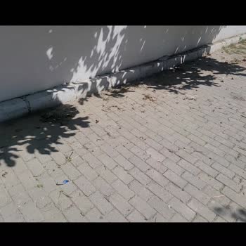 Çatalca Belediyesi Sokak Ve Çevre Temizliği Sorunu