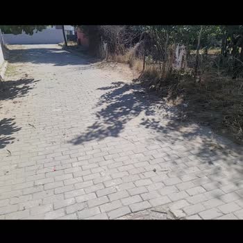 Çatalca Belediyesi Sokak Ve Çevre Temizliği Sorunu
