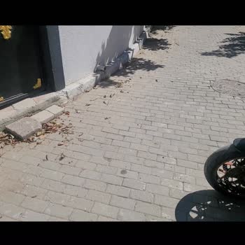 Çatalca Belediyesi Sokak Ve Çevre Temizliği Sorunu