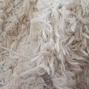 Kaan Halı Yıkama Bursa El Dokuması Halıyla İlgili Sorun