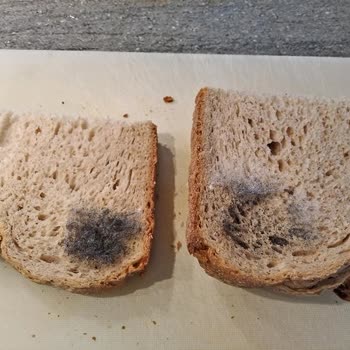 BİM Ekmekte Küf Oluşması