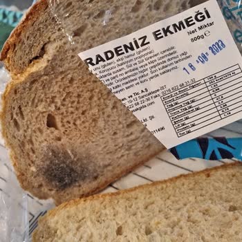 BİM Ekmekte Küf Oluşması