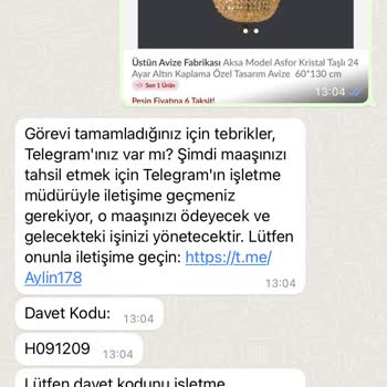 Görev Yap Para Kazan +62 856 -0331-5702 WhatsApp Numarasıyla İlgili Şikayet