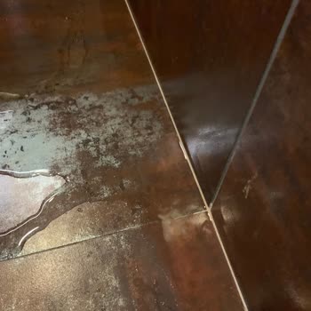 Nuh'un Gemisi Deluxe Hotel & SPA Banyoyu Su Bastı, Ayak Burkuldu