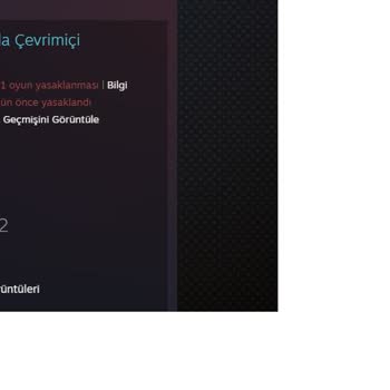 Revolex Scripts Oyundan Engellediler