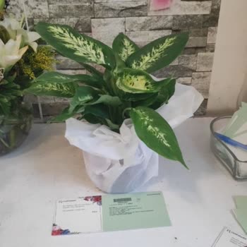 Çiçek Sepeti Hizmet Kalitesi