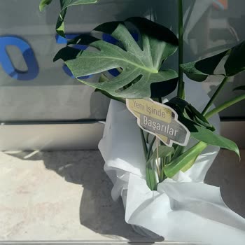 Çiçek Sepeti Hizmet Kalitesi